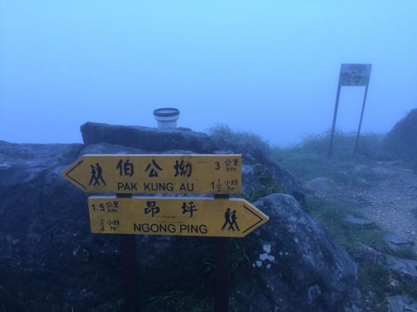 逃离逃犯藏身之处